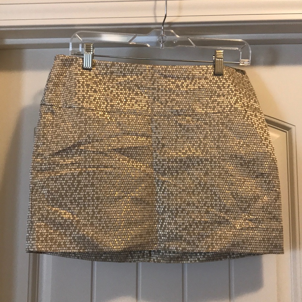 Sparkly Express Skirt